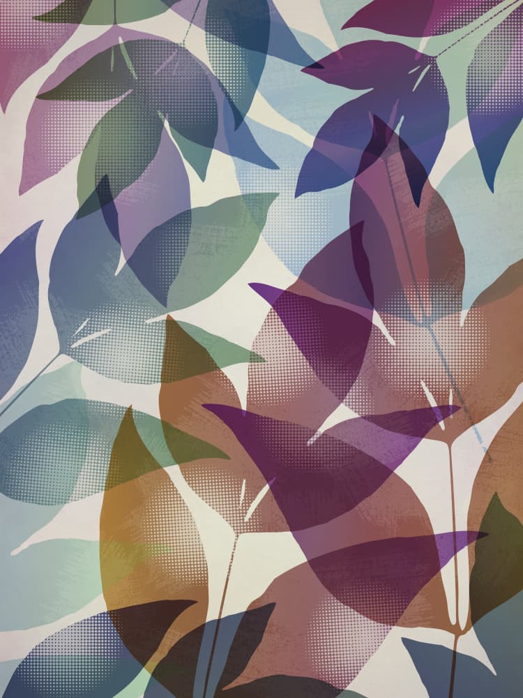 Vibrant Botanical Layers by Angelo Cerantola — canvas wall art