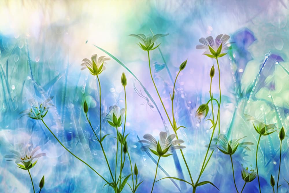 Ethereal Blue Flowers by Hilda van der Lee — canvas wall art