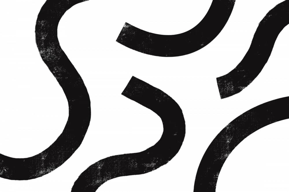 Monochrome Curves by uplusmestudio — canvas wall art