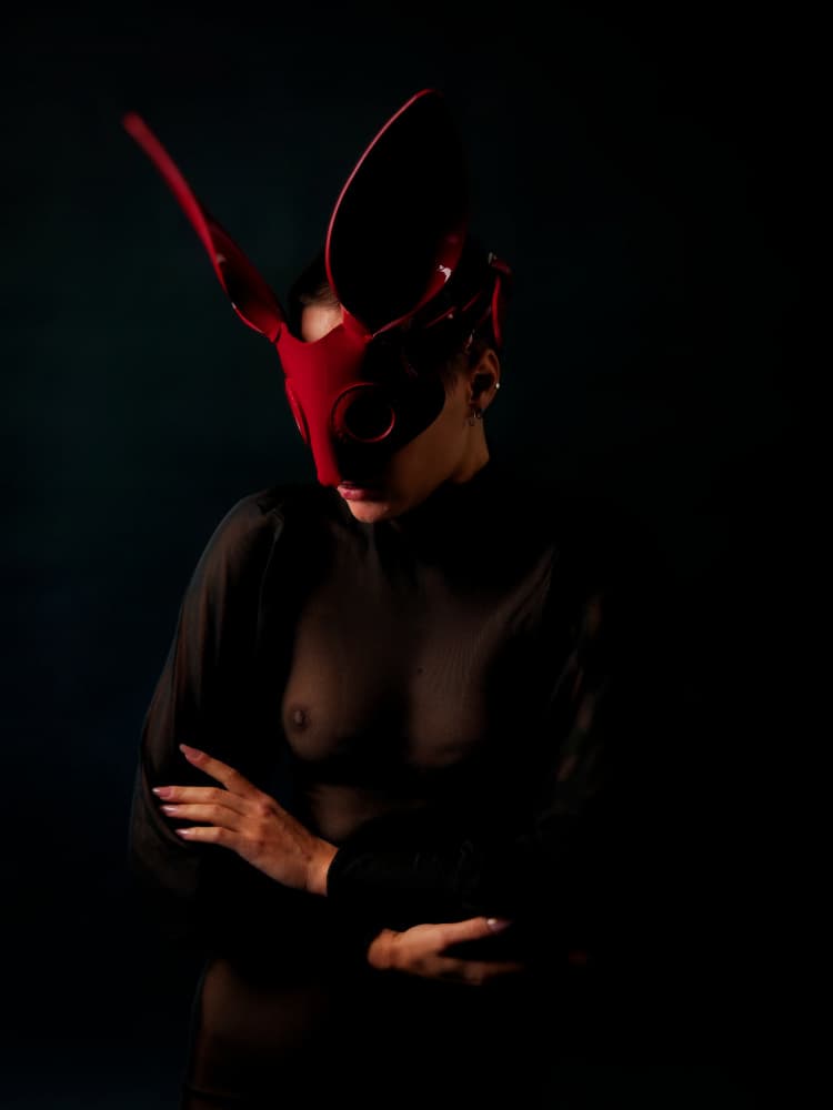 Enigmatic Bunny Mask by Marius Surleac — canvas wall art