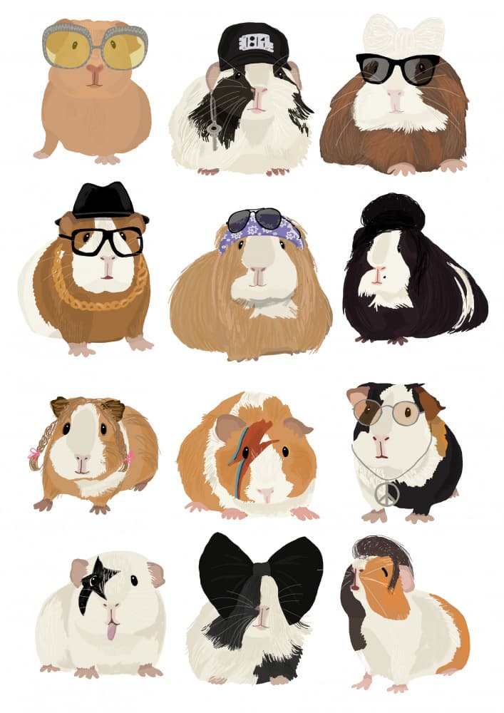 Iconic Guinea Pig Styles by Hanna Melin — canvas wall art