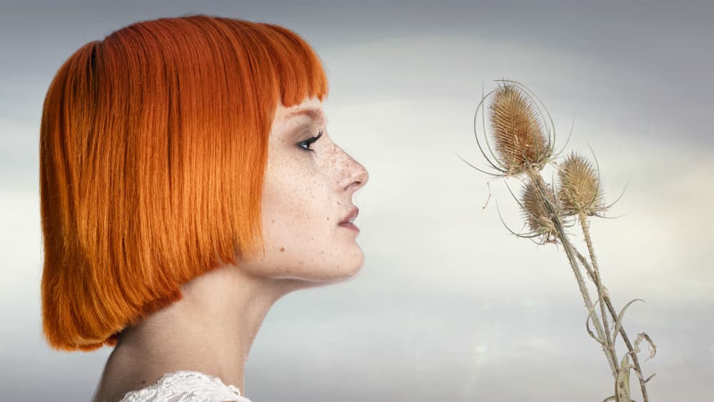Redhead and Dried Thistle by Jan Slotboom — canvas wall art