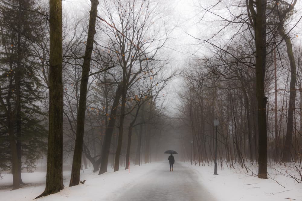 Misty Winter Journey by Michiko Ôtomo — canvas wall art