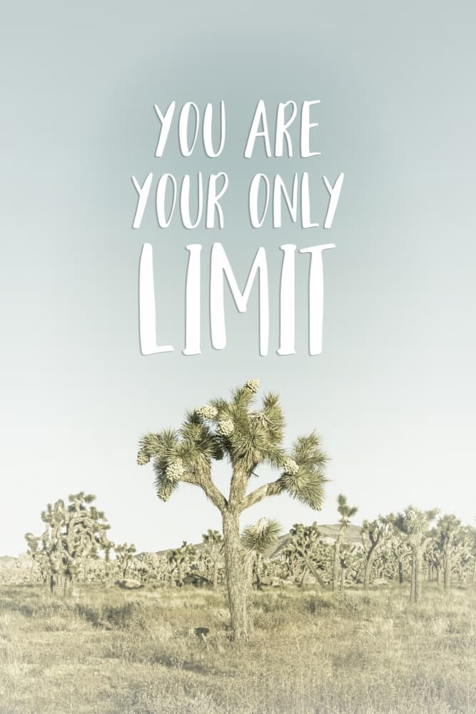 Your Only Limit Desert by Melanie Viola — canvas wall art