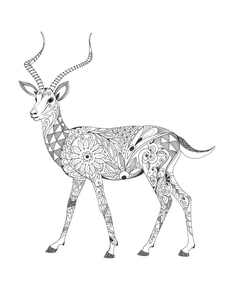 Antelope by Isabelle Brent — canvas wall art