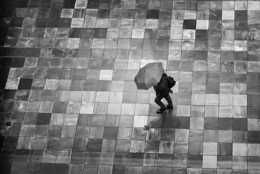 Lone Umbrella Walker by Haruyo Sakamoto — canvas wall art
