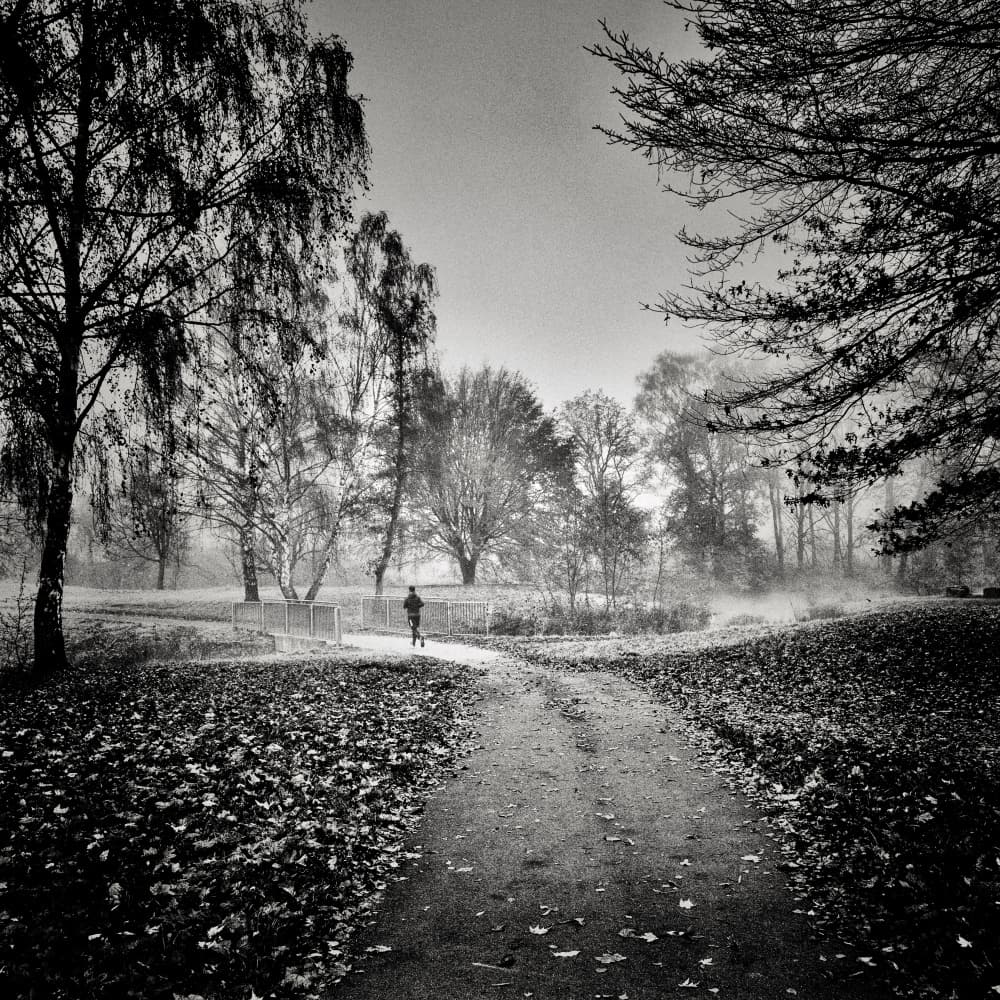 Misty Morning Ride by Robert Kuavi — canvas wall art