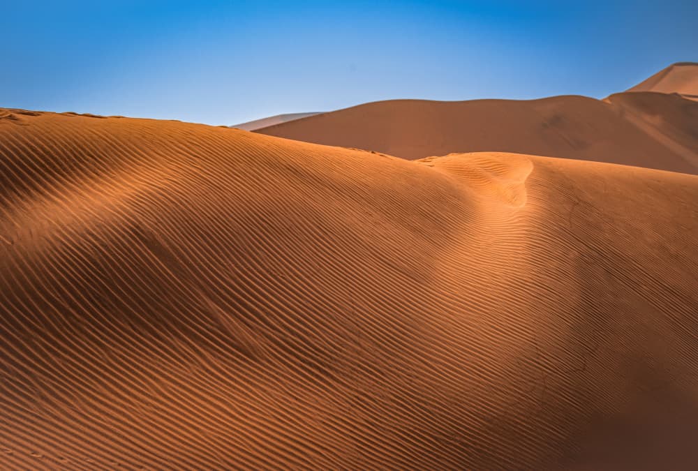 Golden Desert Dunes by Isam Telhami — canvas wall art