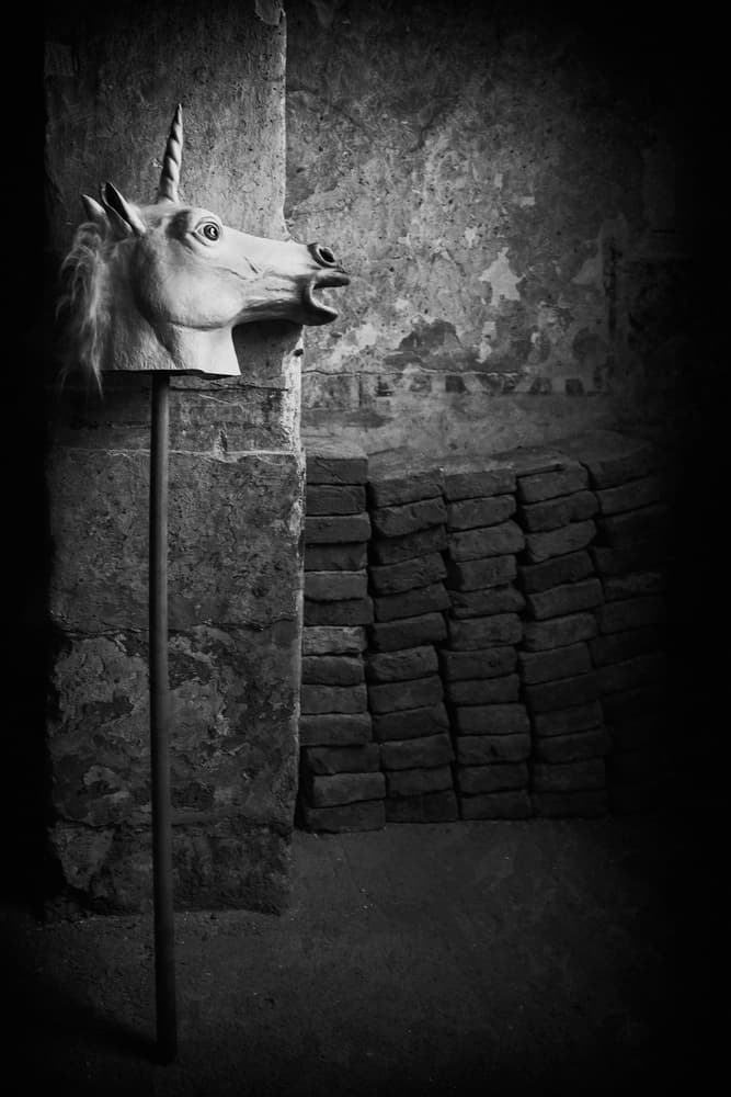 Forgotten Unicorn Mask by Roswitha Schleicher-Schwarz — canvas wall art