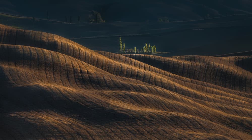 Golden Rolling Hills by Peter Svoboda MQEP — canvas wall art