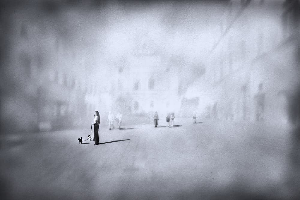 Dreamy Dog Walk by Nicodemo Quaglia — canvas wall art