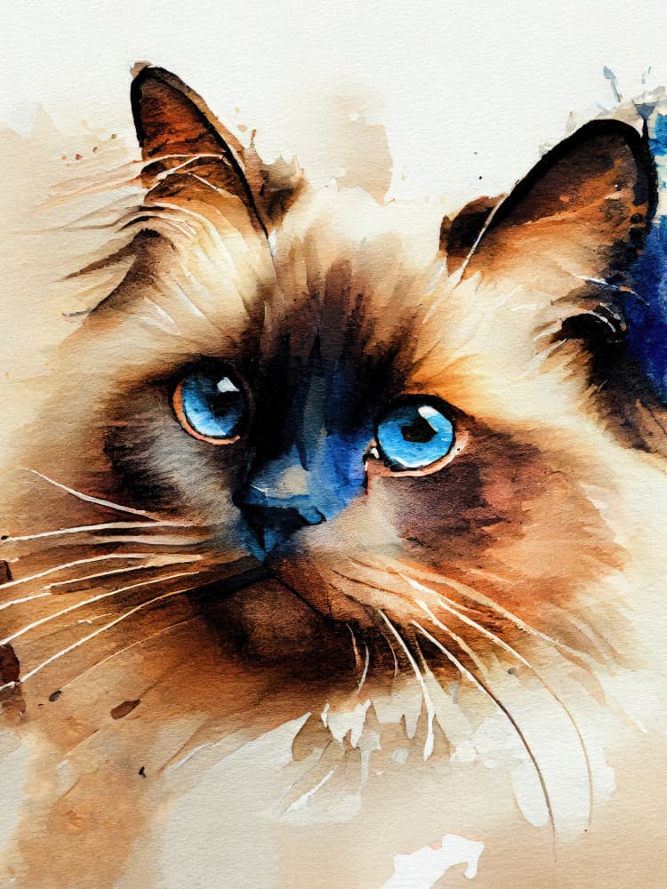 Fluffy Ragdoll Blue Eyes by Justyna Jaszke — canvas wall art