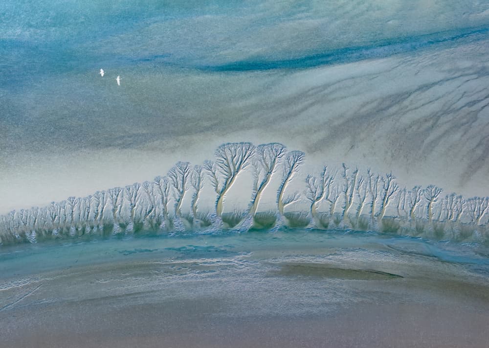 Birds Over Serene Delta by Songlin Xu — canvas wall art