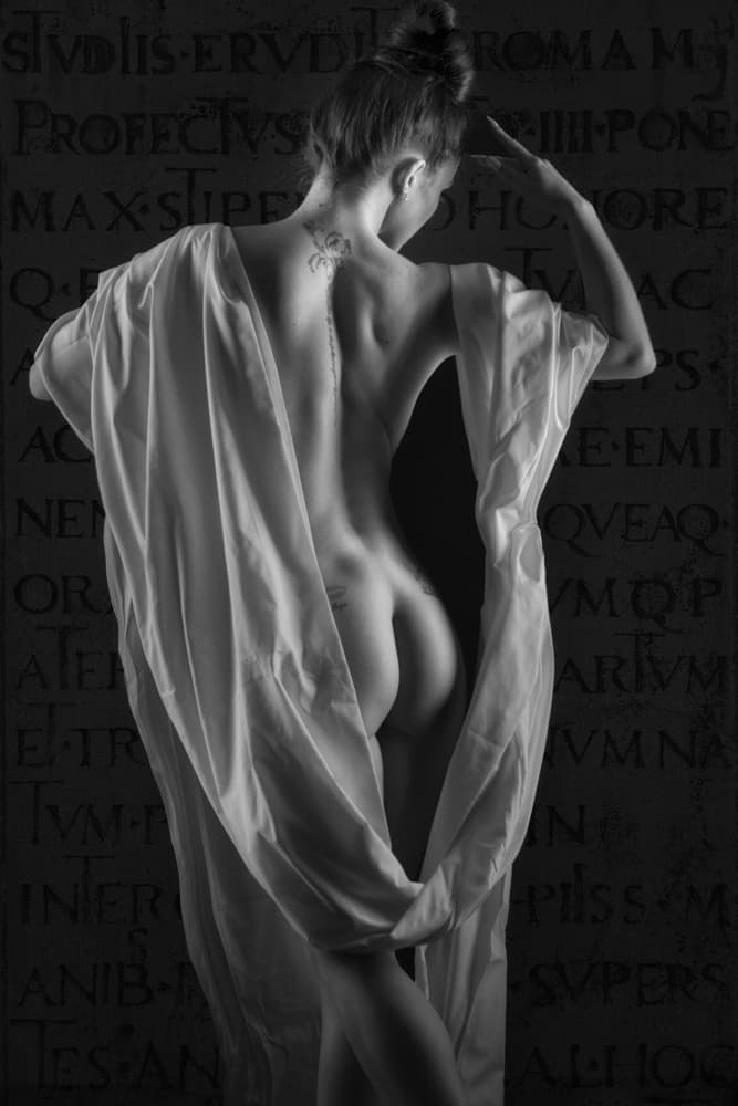Classical Draped Elegance by Colin Dixon — canvas wall art