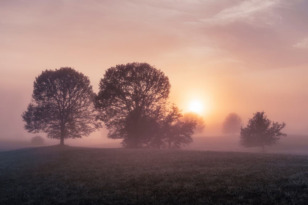 Misty Morning Sunrise by Norbert Maier — canvas wall art