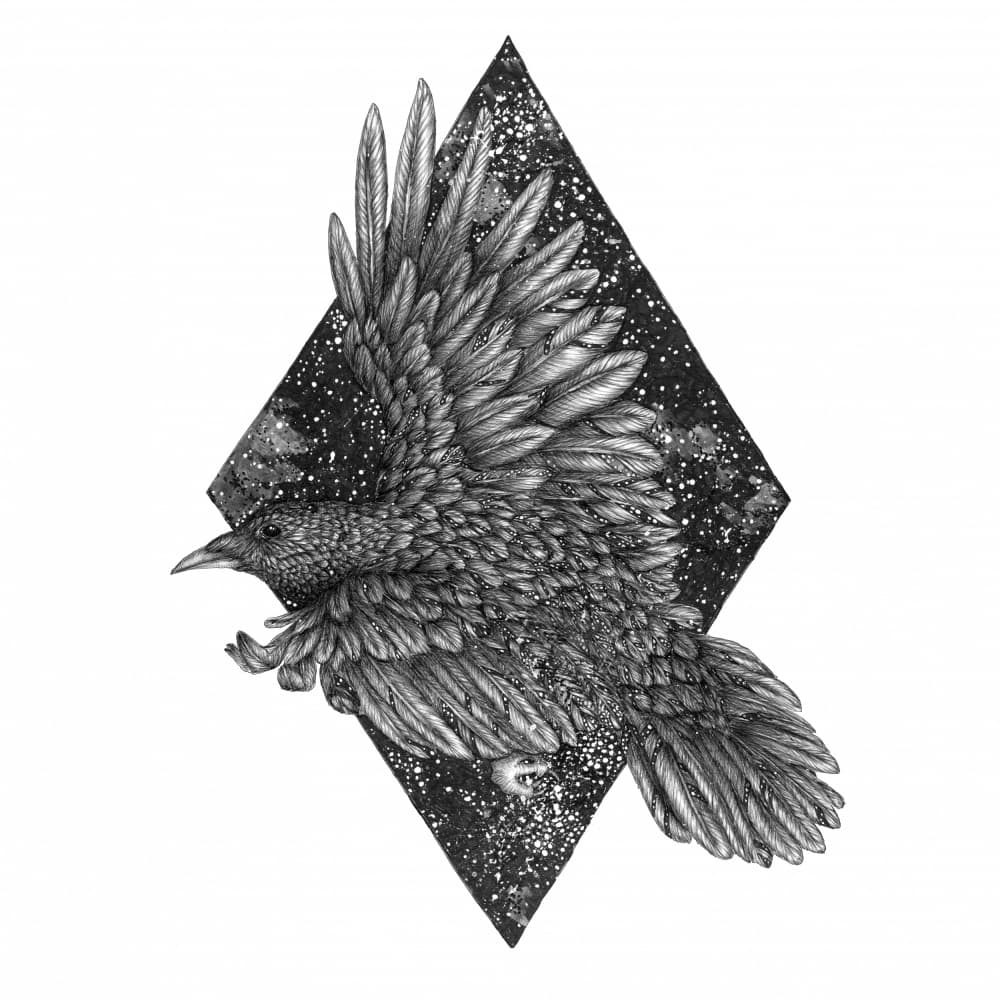 Cosmic Raven Mural by EC Mazur — canvas wall art