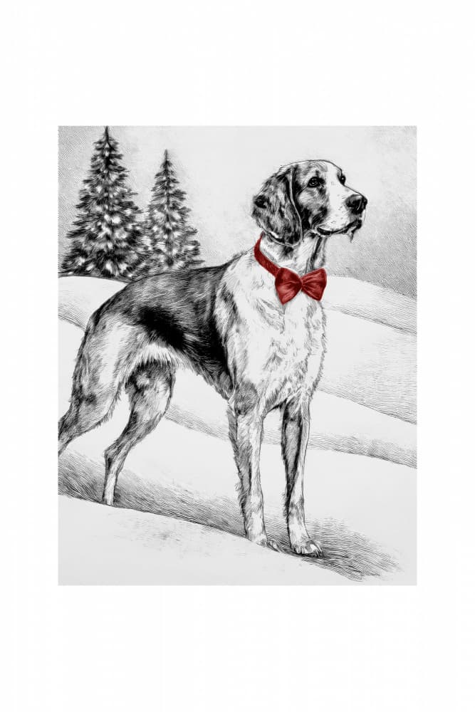 Elegant Dog in Snow by casa cartissi — canvas wall art