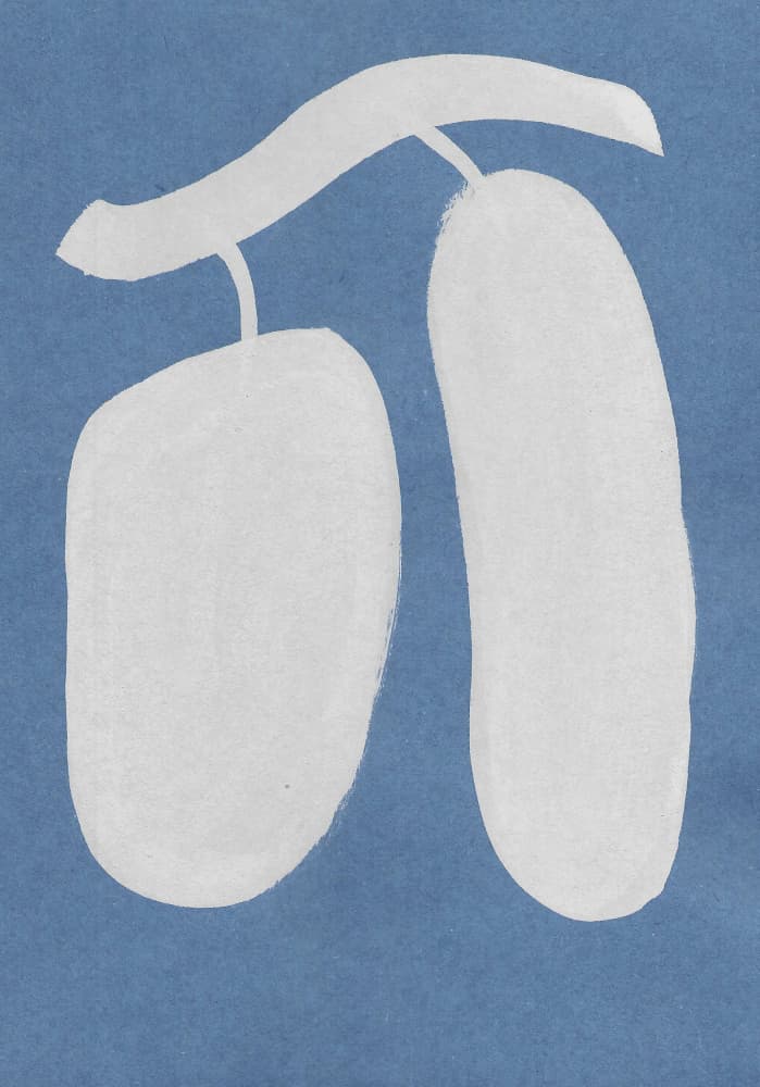 Abstract Fruit Branch by Santhosh ch — canvas wall art