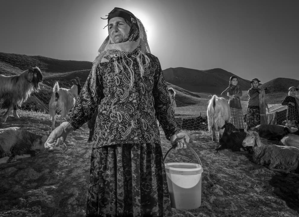 Shepherdess Under Sunlight by Abbas Arabzadeh — canvas wall art