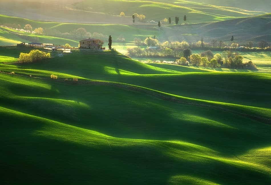 Sunlit Tuscan Landscape by Krzysztof Browko — canvas wall art