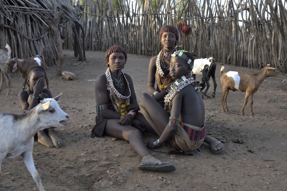 Tribal Village Life by Giuseppe DAmico — canvas wall art