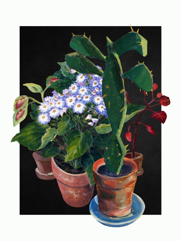 Vibrant Potted Plants by Marja van den Hurk — canvas wall art