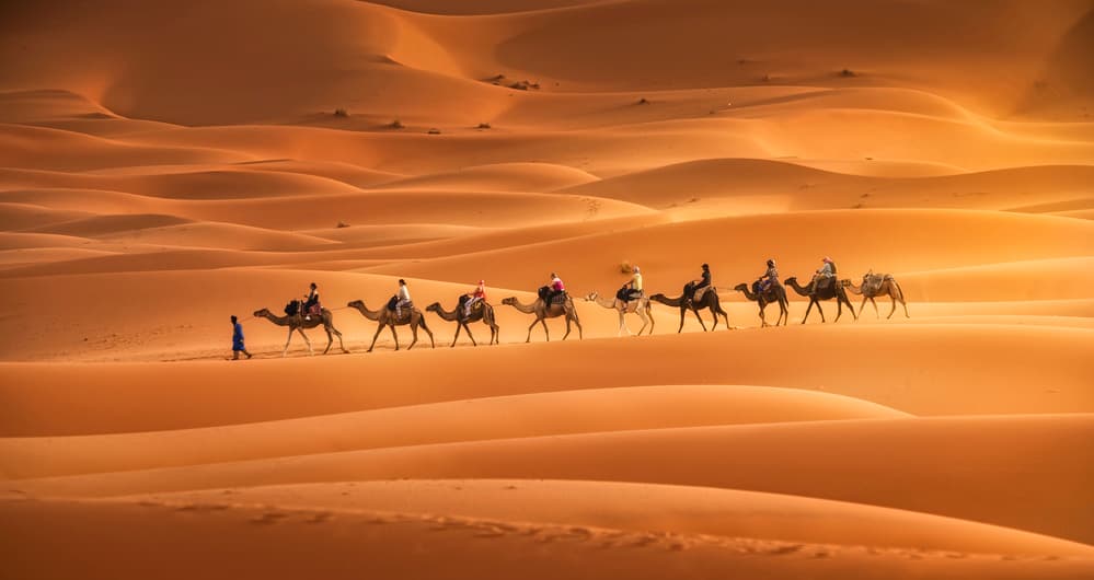 Caravan by Jorge Ruiz Dueso — canvas wall art