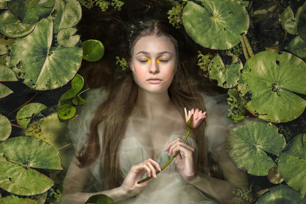 Floating Lotus Dream by Marcel Egger — canvas wall art