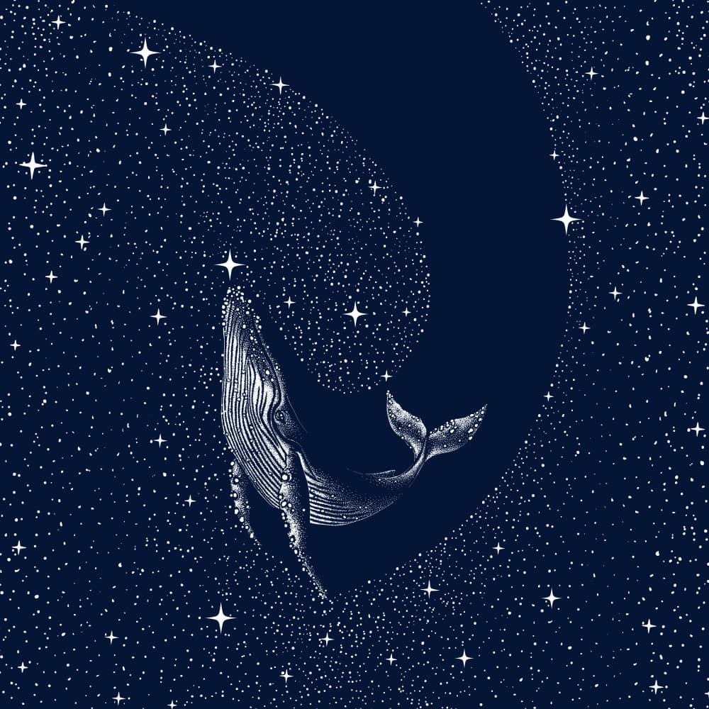 Starry Night Whale by Alirıza ÇAKIR — canvas wall art
