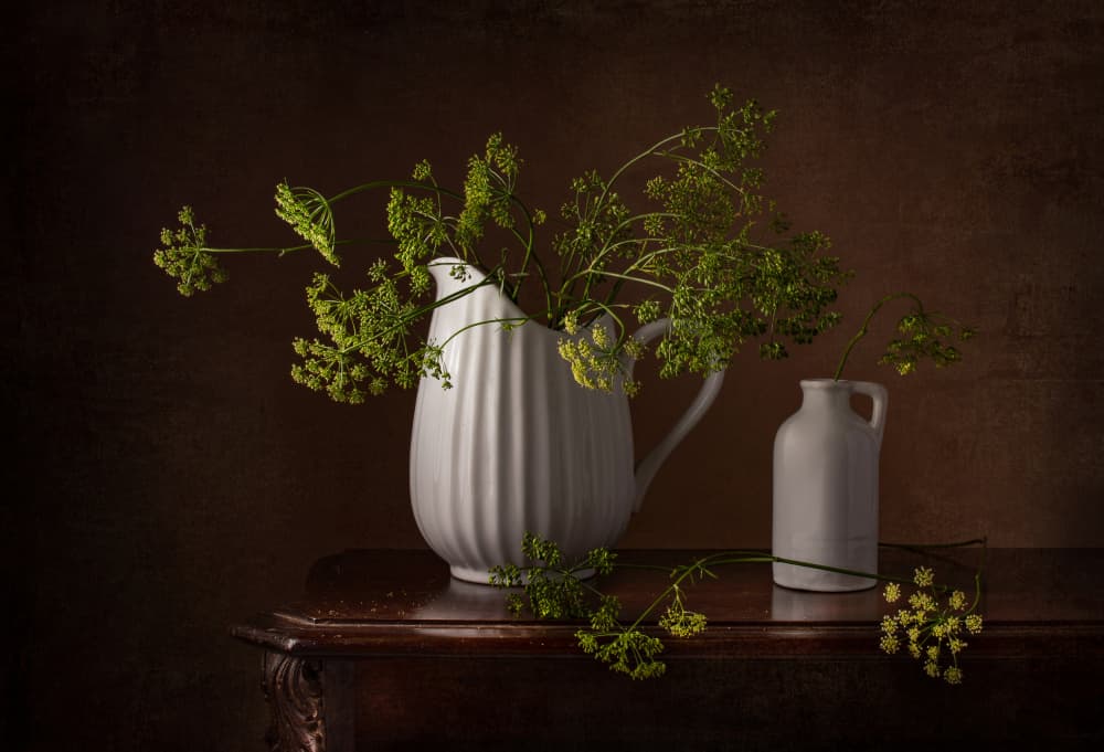Dill Flowers Still Life by Margareth Perfoncio — canvas wall art