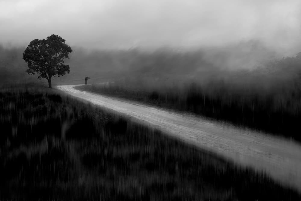 Misty Path Lone Tree by Ekkachai Khemkum — canvas wall art