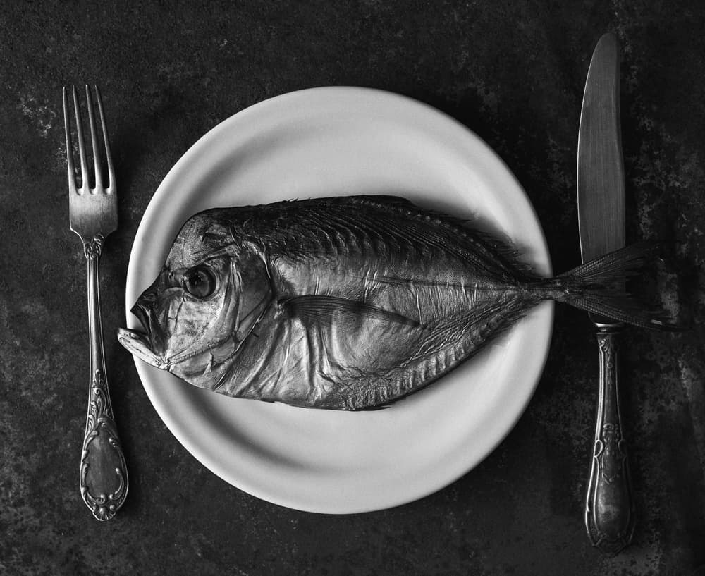Plated Rustic Fish by Karina Aleksandrova — canvas wall art