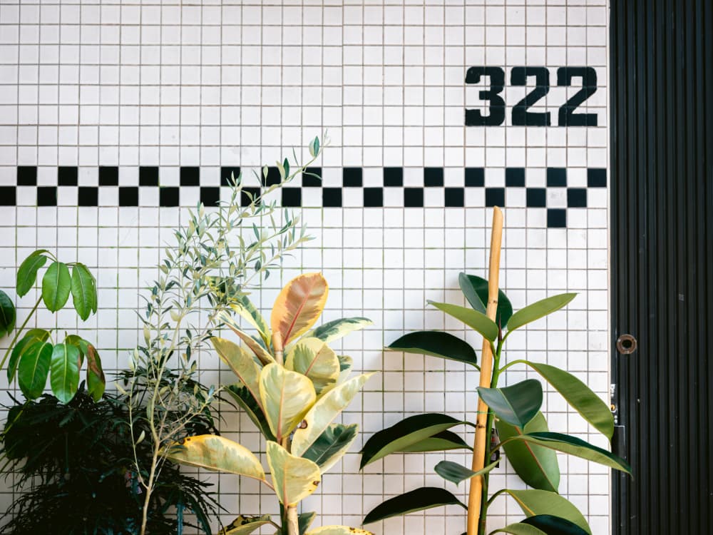 Mexico City details by Raisa Zwart — canvas wall art