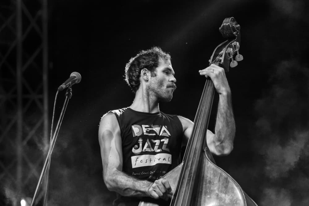 Energetic Jazz Bass Performance by Grigore Roibu — canvas wall art