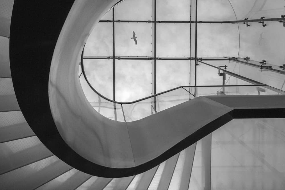 Spiral Architecture Bird by Filipe P Neto — canvas wall art