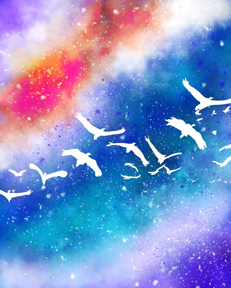 Colorful Galaxy Birds by Uma Gokhale — canvas wall art