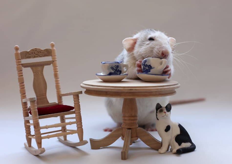 Rat Tea Party by Ellen van Deelen — canvas wall art