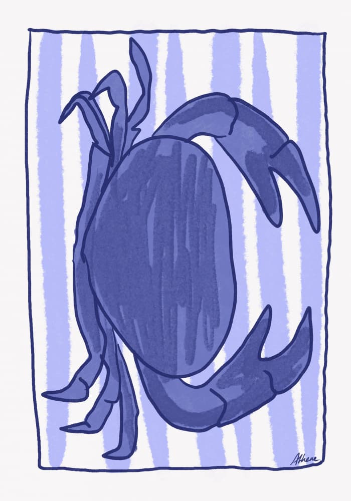 Blue Crab by Athene Fritsch — canvas wall art
