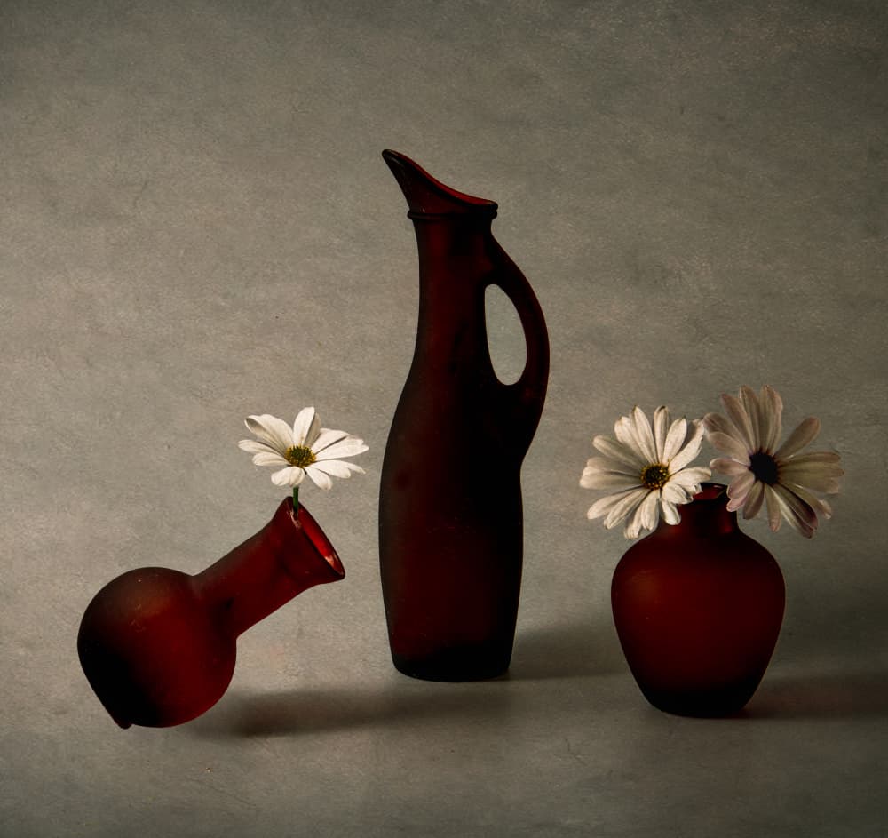 Red Vases White Daisies by May G — canvas wall art