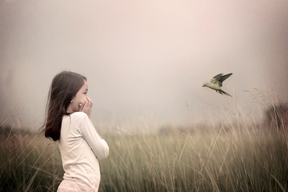 Dreamy Girl And Bird by Teguh Yudhi Winarno — canvas wall art