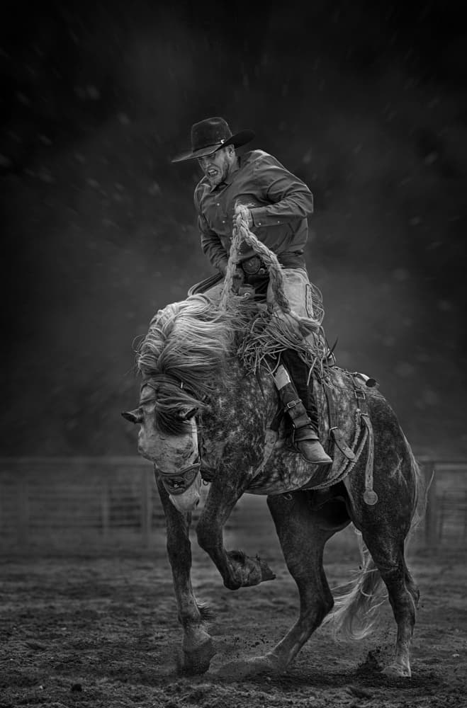 Rodeo Cowboy Action by Lydia Jacobs — canvas wall art