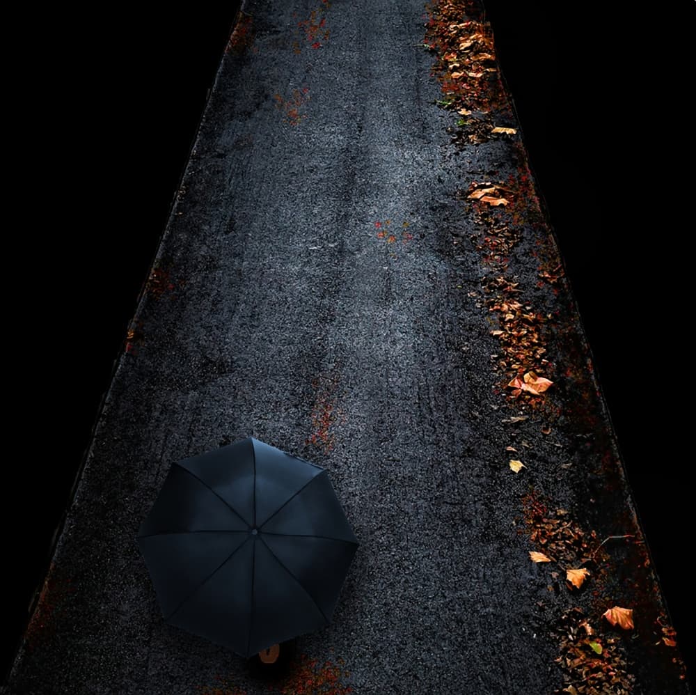 Autumn Rain Walk by Piet Flour — canvas wall art