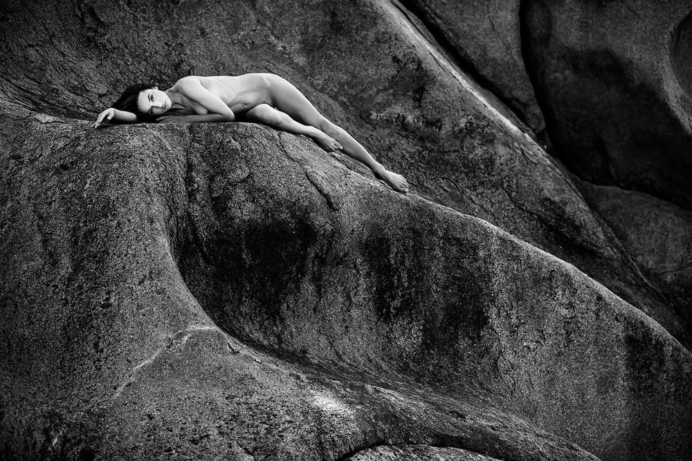 Graceful Form on Rock by Joan Gil Raga — canvas wall art