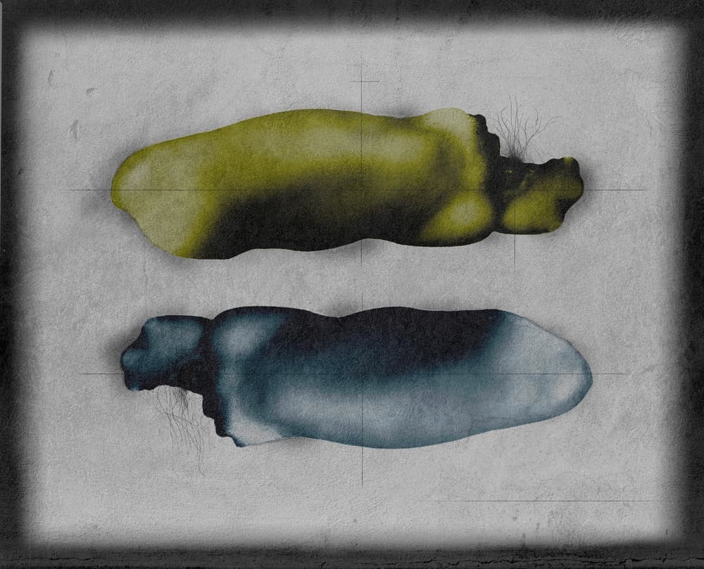 Organic Abstract Forms by Fuyuki Hattori — canvas wall art