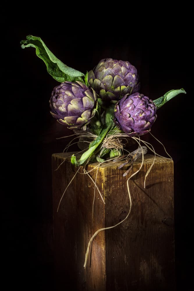 Elegant Purple Artichokes by Felice Angelino — canvas wall art
