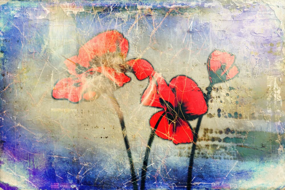 Vintage Blue Poppies by Rafal Kulik — canvas wall art