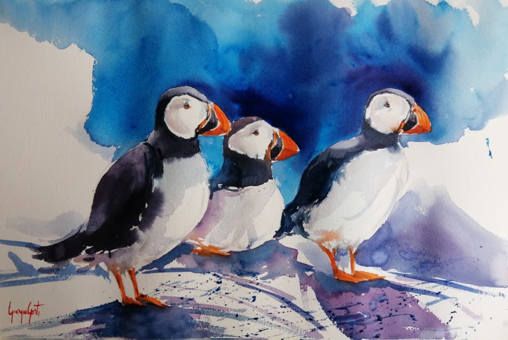 Three Puffins Watercolor by Giorgio Gosti — canvas wall art
