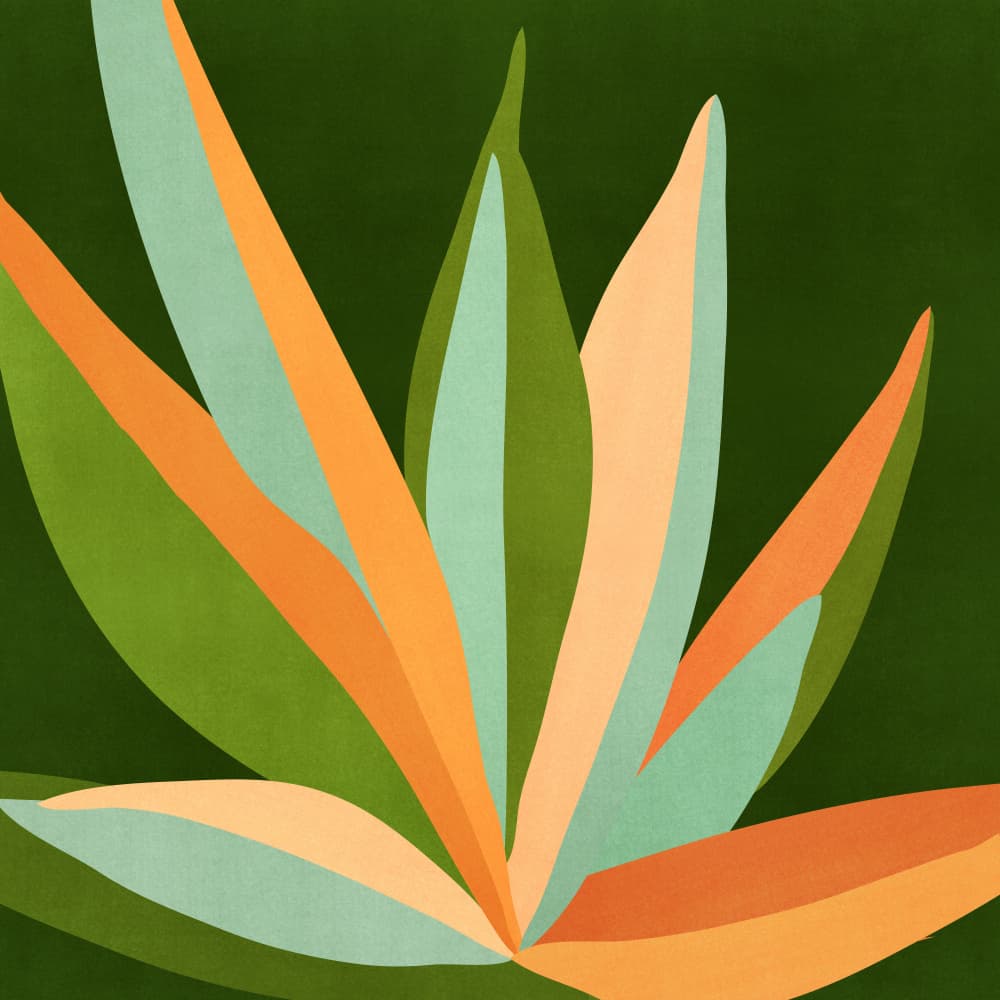 Colorful Agave 3 by Kristian Gallagher — canvas wall art