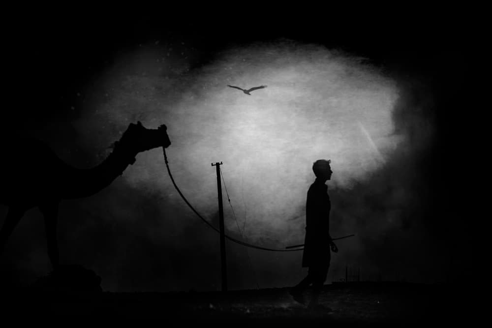 Desert Night Journey by Svetlin Yosifov — canvas wall art