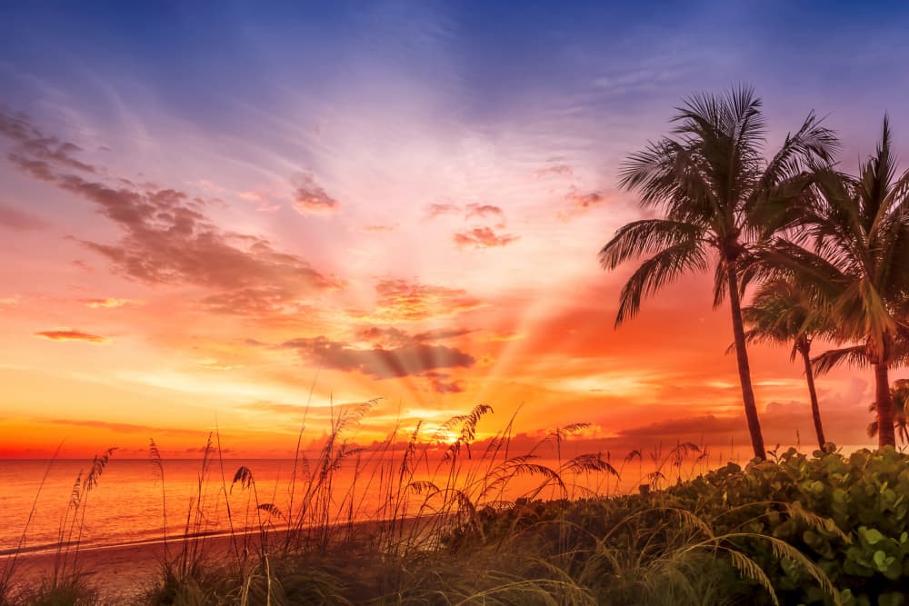 Tropical Beach Sunset by Melanie Viola — canvas wall art
